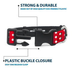 Reinforced buckle and D-ring on Buckle-Down collar for secure leash attachment