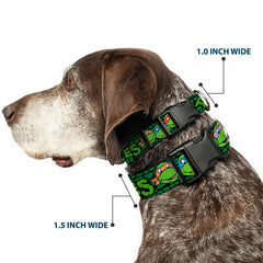 Buckle-Down TMNT turtle shell collar vibrant colors for standout walks