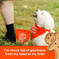 Buddy Biscuits training reward pb-treat image shows dog during training