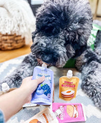 Buddy Budder purple spatula for even spread boosts engagement during lick-time.