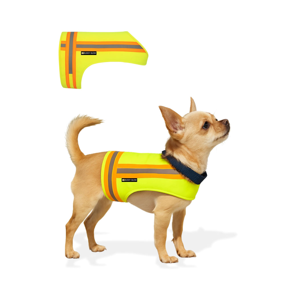 Buddy Glow Reflective Dog Vest front view boosts evening visibility