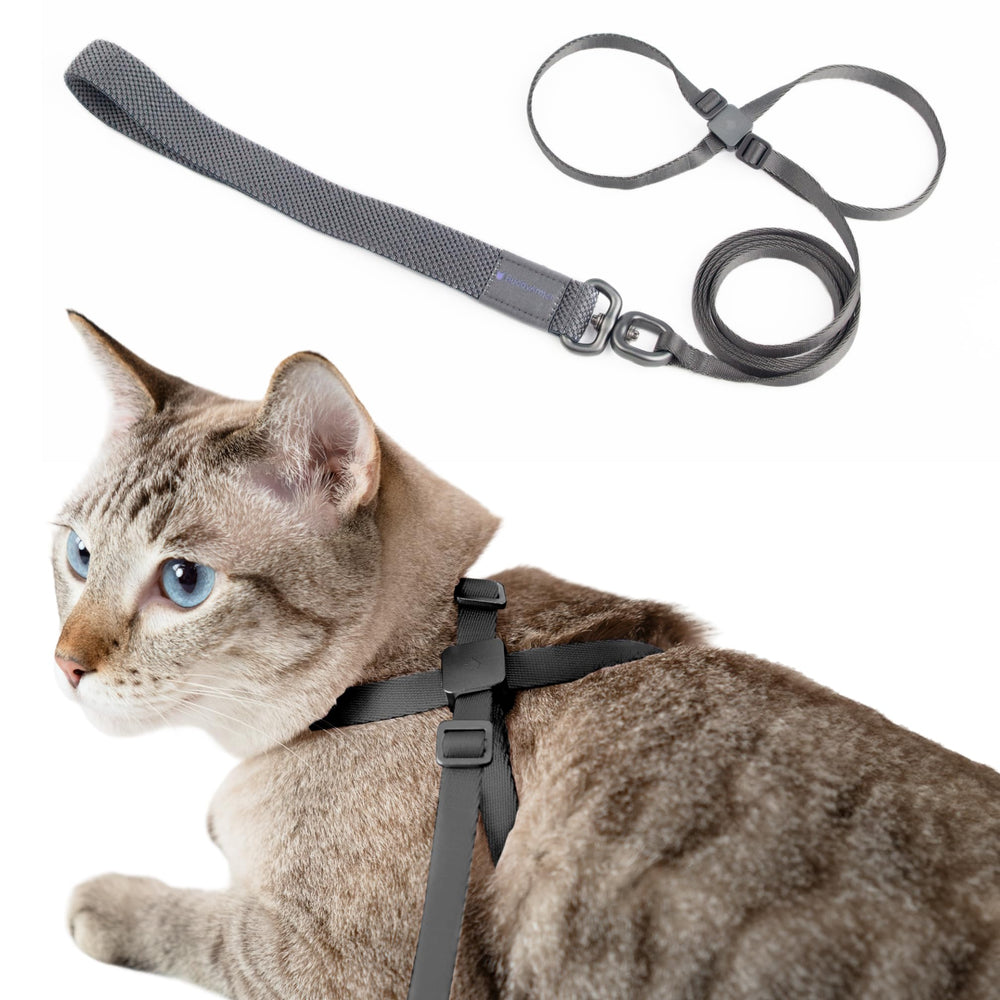 BuddyArmor cat harness space-gray front view for secure outdoor walks and confidence