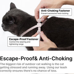 BuddyArmor leash elastic handle closeup highlights smoother pulls and calmer walking sessions