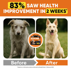 BuddyCheer skin-coat health chews image emphasizes glossy coat and skin moisture balance.