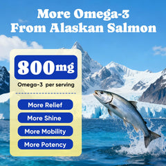 BuddyCheer EPA DHA dog fish oil emphasizes joint support and heart health potential