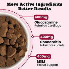 BuddyCheer hyaluronic acid dog supplement ingredients image emphasizes cartilage lubrication.