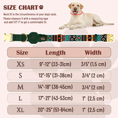 Budkas adjustable-dog-collar-xs-xl provides secure fit from small to large dogs.