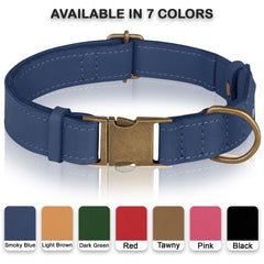 BUDKAS AirTag dog collar AirTag holder view highlights protected tracking