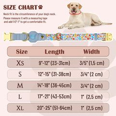 BUDKAS AirTag collar in tribal pattern offers stylish personalization.