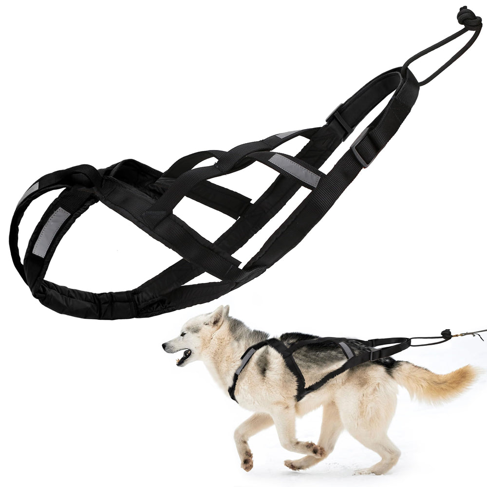 BuleVina dog pulling harness L neck area padded for comfort during walks.