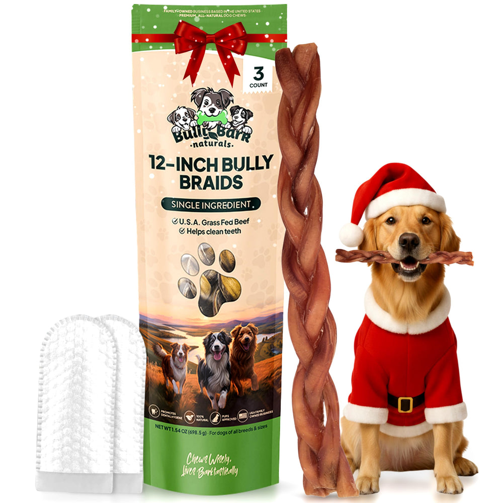 Bully Bark Naturals 12-inch braided bully stick for powerful chewers