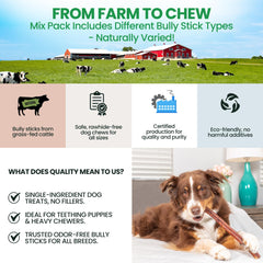 Bully Bark Naturals grass-fed beef pizzle chew in image highlights natural flavor.