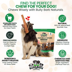 Bully Bark Naturals odor-free bully sticks image demonstrates mess-free chew sessions.