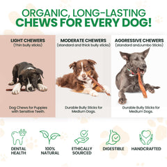 Bully Bark Naturals odor-free dog chew ideal for mess-free use