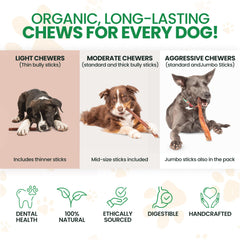 Bully Bark Naturals odor-free oven-baked sticks photo emphasizes low odor during shared meals.