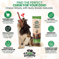 Bully Bark Naturals three-pack braided bully sticks for medium and large breeds