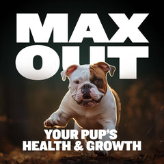 Crushed Bully Max chews used as a convenient meals topper.