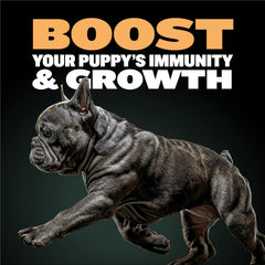 Bully Max Wet Puppy Food water rehydration process forming a soft, protein-rich puppy meal.