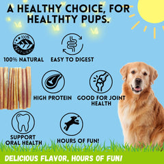 BULLYSTICKS & MORE 6-inch beef collagen sticks packaging; convenient lean protein chew for dogs.
