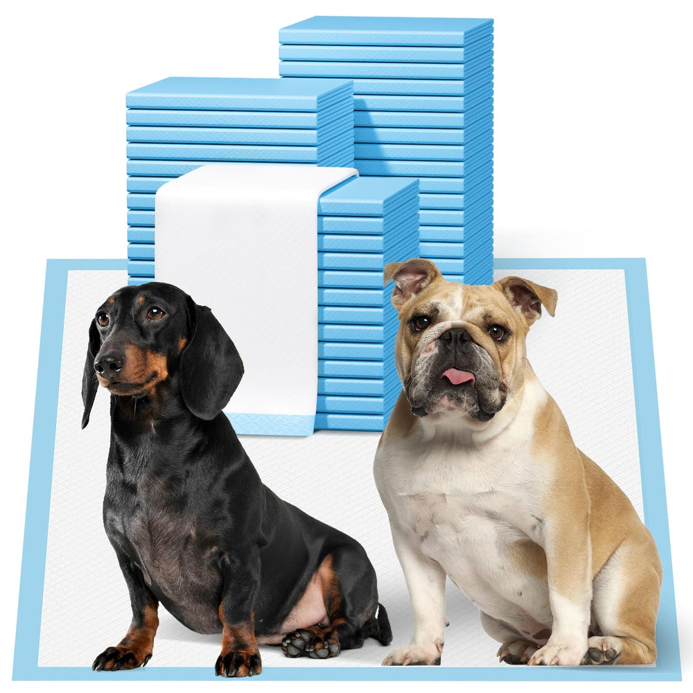 Bulubaky puppy pads front view showing large 23x23 size and bulk packaging