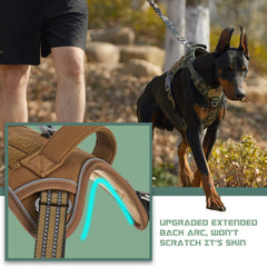BUMBIN MOLLE patch storage harness supports patches and IDs.