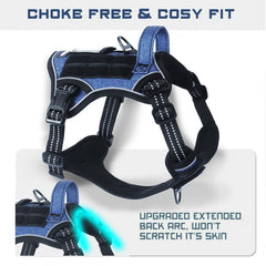 BUMBIN handle-equipped denim blue XL harness demonstrates assistive control during training.