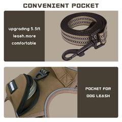 BUMBIN No Pull Harness size L back view showing dual leash attachments for versatile walking