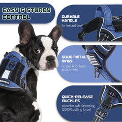 BUMBIN no-pull puppy harness detail highlights secure leash connection and built-in handle.