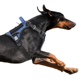 BUMBIN tactical dog harness denim blue XL front view demonstrates no-pull control for calm walks.
