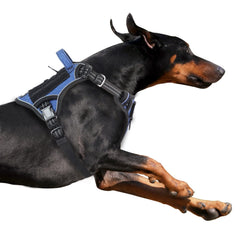BUMBIN tactical dog harness denim blue XL front view demonstrates no-pull control for calm walks.