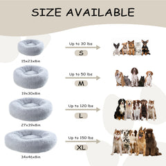 Bunlitent donut bed size chart illustrating small to extra-large options.
