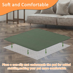 Bunlitent soft fluffy surface provides comfortable rest for puppies and seniors