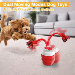 BUPIHUKA Interactive Dog Ball USB-C charging enabling quick power-up for long sessions