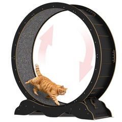 BURCHLIFE cat exercise wheel 45inch assembly demonstrates quick tool-free setup for busy homes.