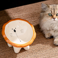 Busnos elevated cat bowl with 15-degree tilt reduces neck strain