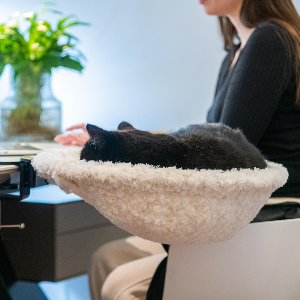 ButtonwoodNest clamp-on ergonomic desk cat bed with a steel frame for sturdy, secure support.