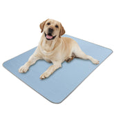Buvlnee cooling mat overview shows cooling comfort for pets on hot days.