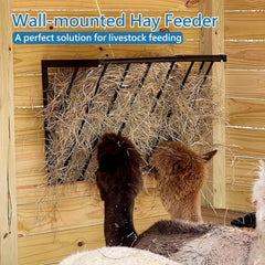 BUYYAH horse hay feeder wall-mounted installation saves floor space in barns.