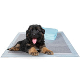BV Charcoal Puppy Pads XL pack shot for large dogs and home training