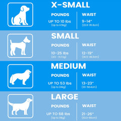 BV Dog Wraps leak-proof core emphasizes secure protection at home or on the go.