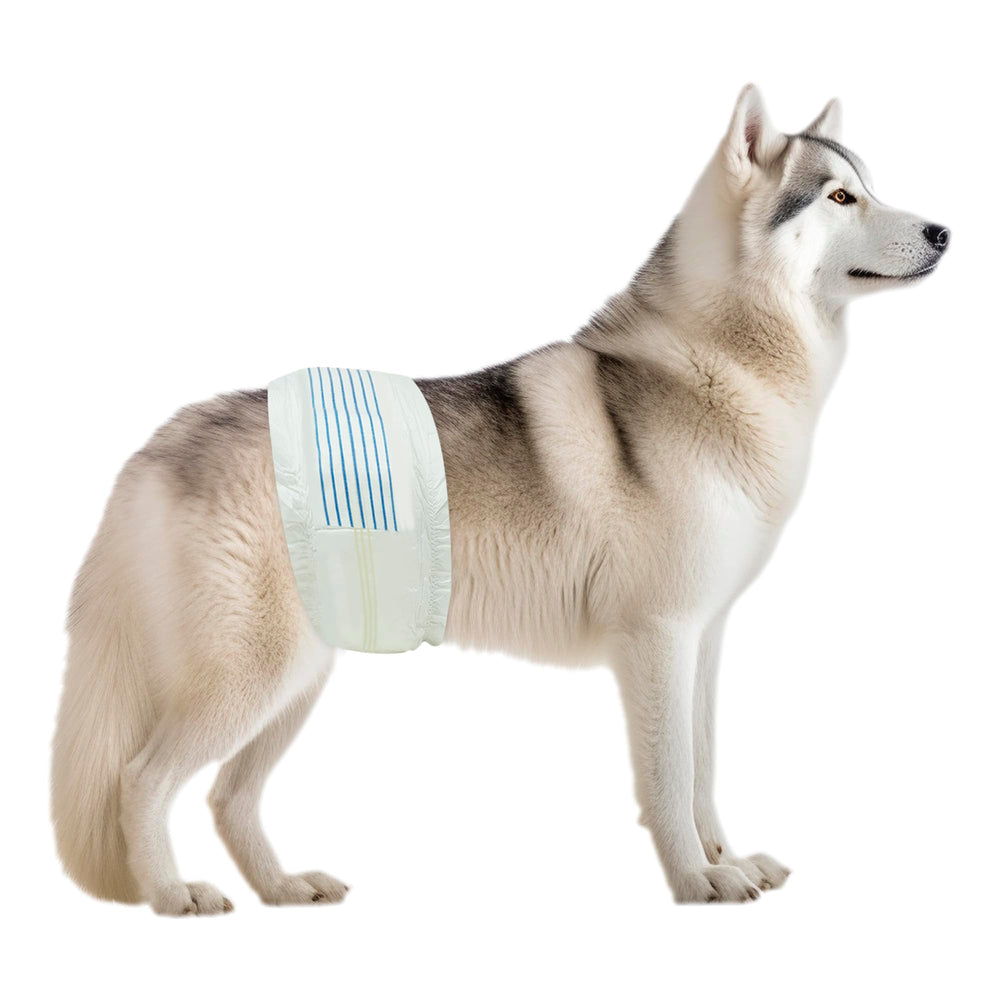 BV Dog Wraps male large packaging shows 400-count value for training and incontinence.