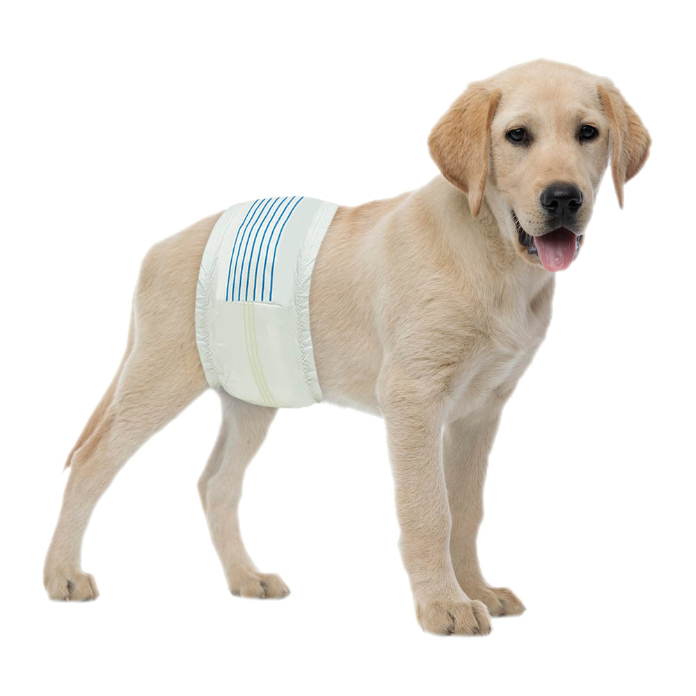 BV Dog Wraps Male Medium with 13-23in waist and 400-count pack for coverage.