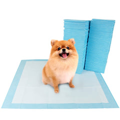 BV Puppy Pads bulk 22x22 pack for extended training sessions and mess-free floors.