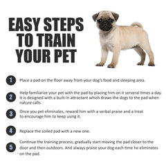 BV Puppy Pads absorbent core handles up to three cups of liquid.