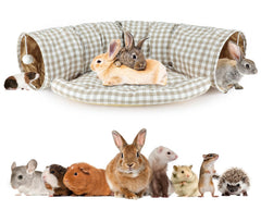 BWOGUE Bunny Tunnel Bed assembled showing the 2-in-1 design for play and rest.