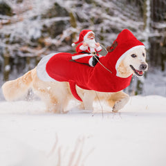 BWOGUE Santa Dog Costume worn by a dog at a holiday party