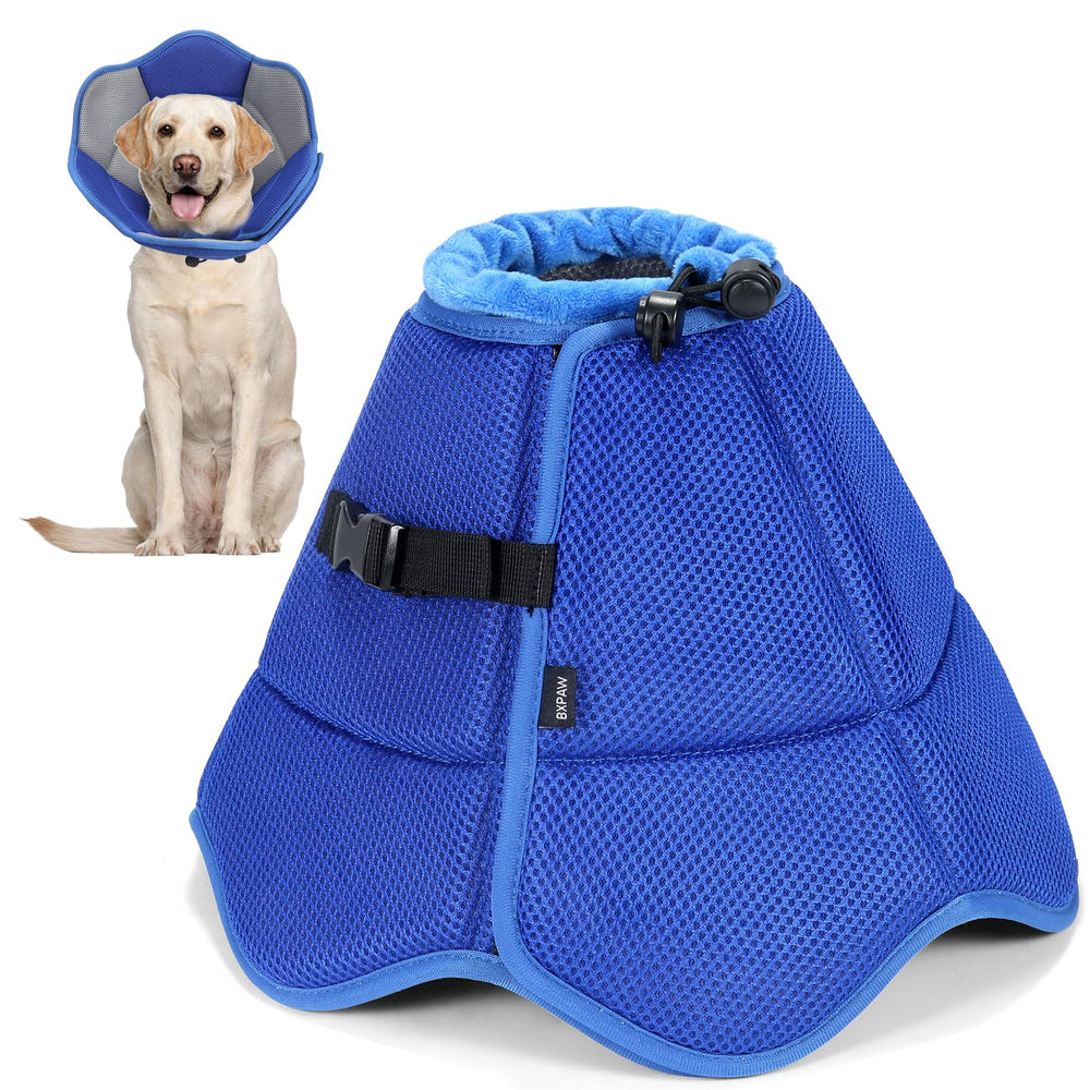 BXPAW Soft Dog Cone Collar on a calm dog for breathable comfort during recovery