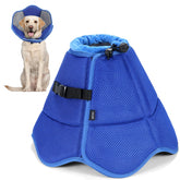 BXPAW Soft Dog Cone Collar on a calm dog for breathable comfort during recovery