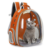 Cacihato Cat Bubble Backpack front view for outdoor adventures with your pet.