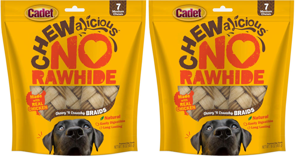 Cadet Chewalicious Chewy 'N Crunchy braid dog treats — braided chew for long-lasting entertainment and dental-friendly chewing